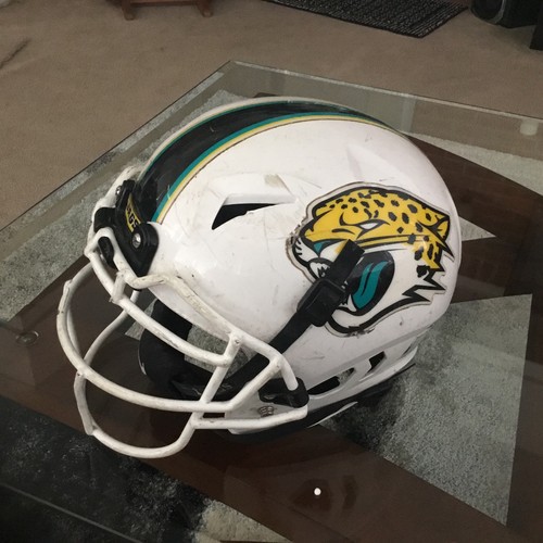 Jacksonville jaguars nfl - jacksonville,
